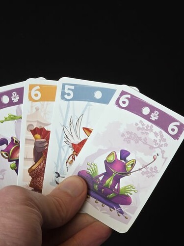 Kikigagne? Dojo (fr/en) 721450084029