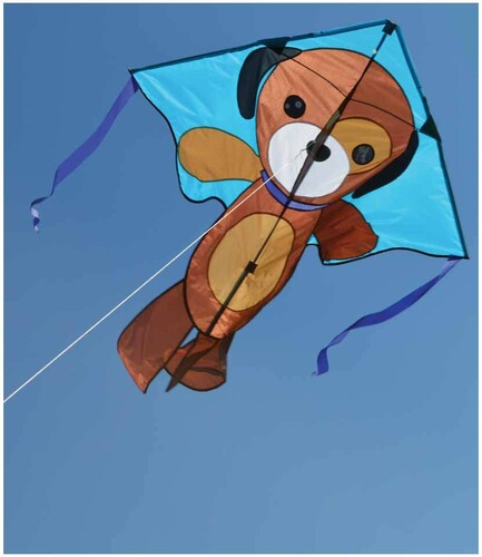 Premier Kites Cerf-volant monocorde large facile à voler chiot 46'' x 90'' 630104440664