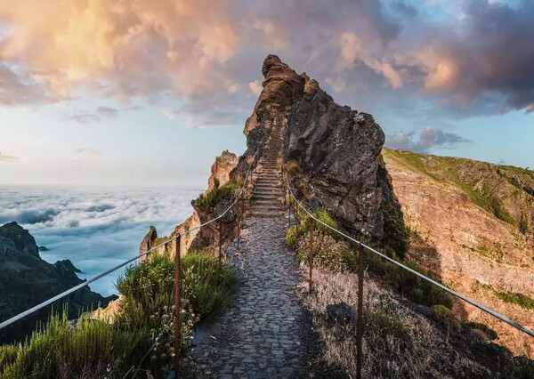 Ravensburger casse-tête Casse-tête 1000 Chemin vers le paradis 4005555017653