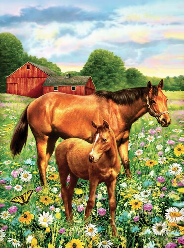 Royal & Langnickel Peinture à numéro junior chevaux dans le pré 22.5x29.5cm 090672943330