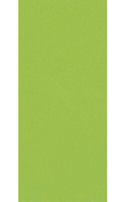 Lamarche Importation Papier de soie sachet 6 feuilles 50 x 70 cm vert lime 5033601868378