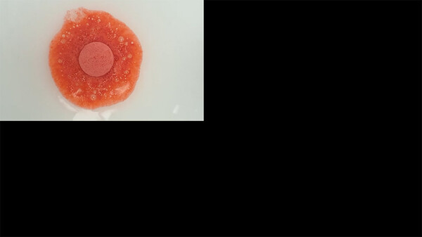 Zimpli Kids zimpli - baff bombz paquet de 4 balles 813974020284