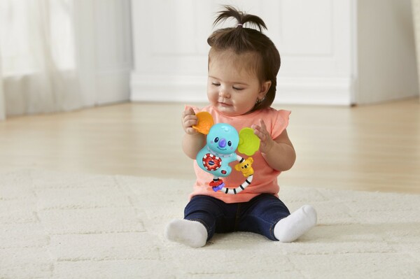 VTech VTech Hochet p'tit koala (fr) 3417765132056