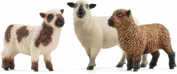 Schleich Schleich 42660 Amis des Moutons 4059433761923