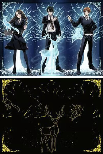 Ravensburger casse-tête Casse-tête 500 Glow in the dark - Harry Potter Harry Potter 4005555015093