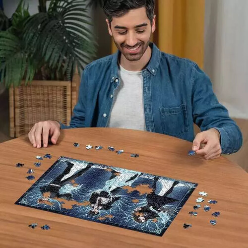 Ravensburger casse-tête Casse-tête 500 Glow in the dark - Harry Potter Harry Potter 4005555015093