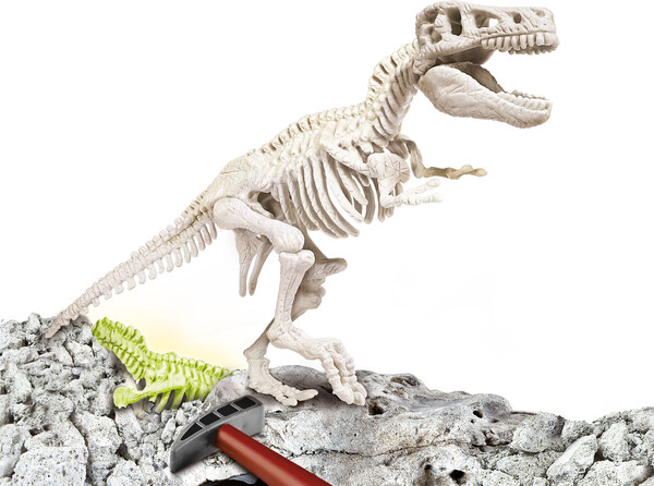 Clementoni S&J Fouille Archéo-ludic tyrannosaure (T. rex) phosphorescent (fr) 8005125520688