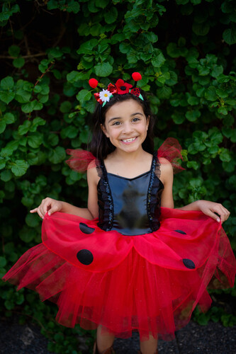 Creative Education Costume Robe Coccinelle avec bandeau, grandeur 3-4 771877303531