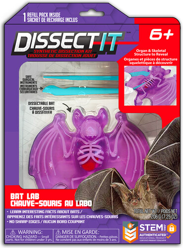 Dissect it chauve-souris 4897073710907