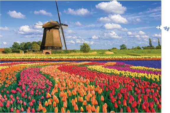 Casse-tete Calypto Casse-tête 1000 Champs de Tulipes Hollande685X480mm 3760124870510