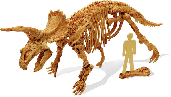 Buki Buki dino - tricératops 3700802100508