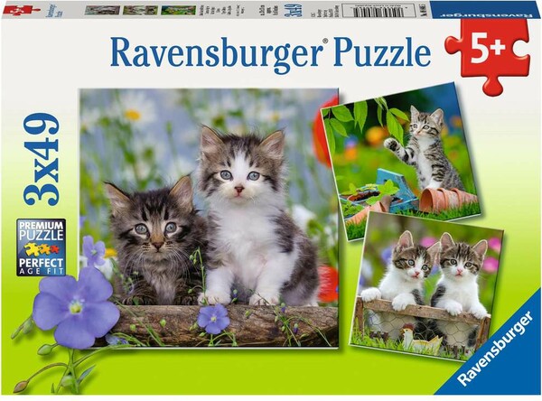 Ravensburger Casse-tête 49x3 Chatons tigrés 4005556080465