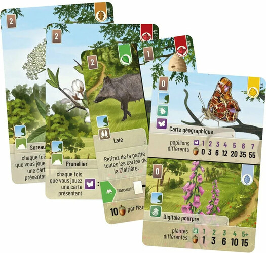 Lookout Games Foret Mixte lisiere de foret 3558380124283