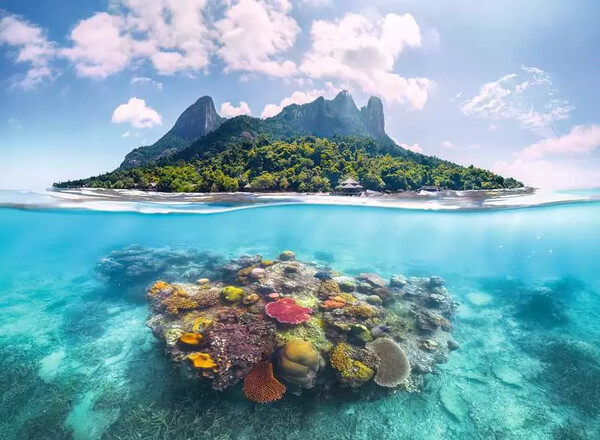 Ravensburger casse-tête Casse-tête 500 Island Waterescape 4005555017981
