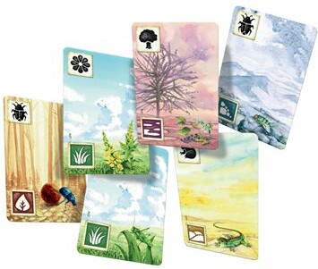 Meadow (fr/en) Base 5902650615984