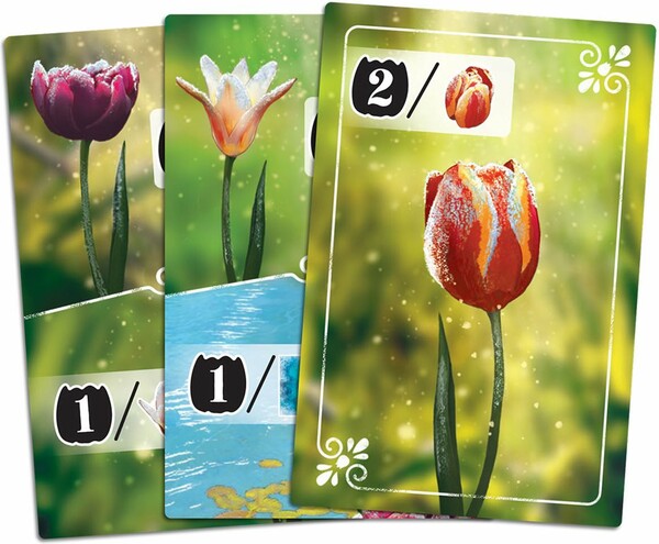 Frosted Blooms (fr/en) 894342000756