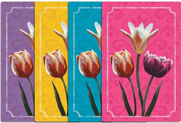 Frosted Blooms (fr/en) 894342000756