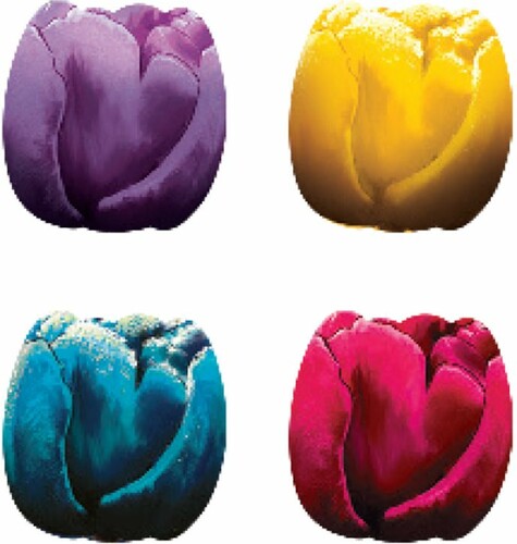 Frosted Blooms (fr/en) 894342000756