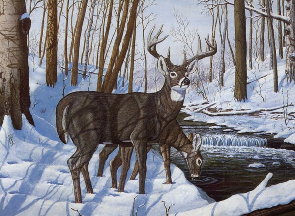 Royal & Langnickel Peinture à numéro bonheur d'hiver 39x28.5cm 090672943521