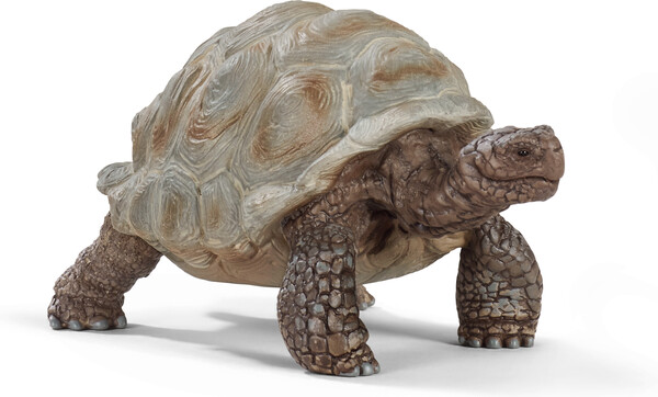 Schleich Schleich 14824 Tortue géante 4055744033667