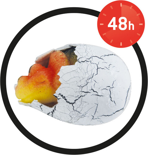 Buki Buki dino - oeuf magique 3700802103059