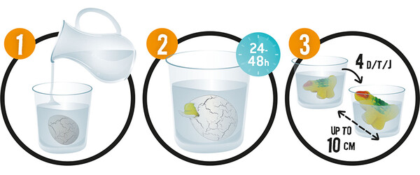 Buki Buki dino - oeuf magique 3700802103059