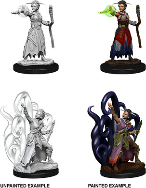 NECA/WizKids LLC Dnd unpainted minis wv10 female human warlock 634482738375