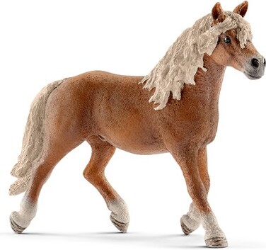 Schleich Schleich 13813 Étalon Haflinger (juil 2016) 4055744007118