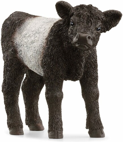 Schleich Schleich 13969 Veau Galloway 4059433789323