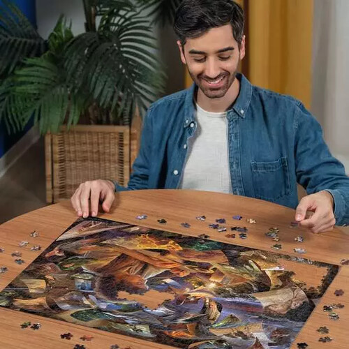 Ravensburger casse-tête Casse-tête 1000 Seigneur des Anneaux 4005555018100