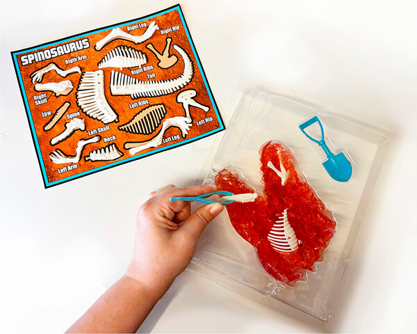 Dissect It Dinosaure archeologie 1230000132329