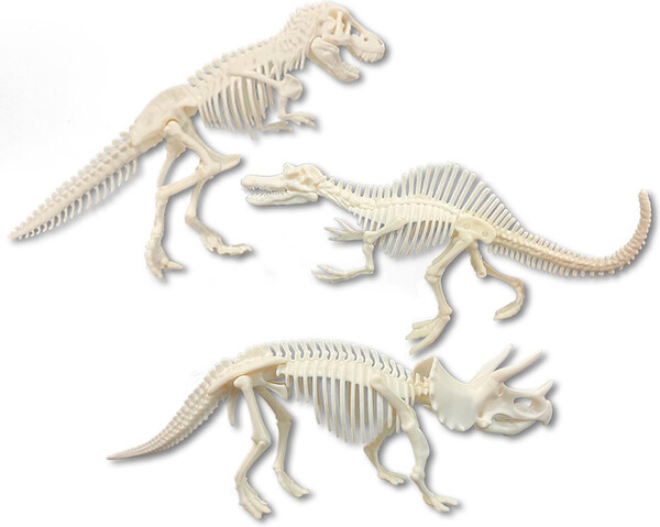 Dissect It Dinosaure archeologie 1230000132329