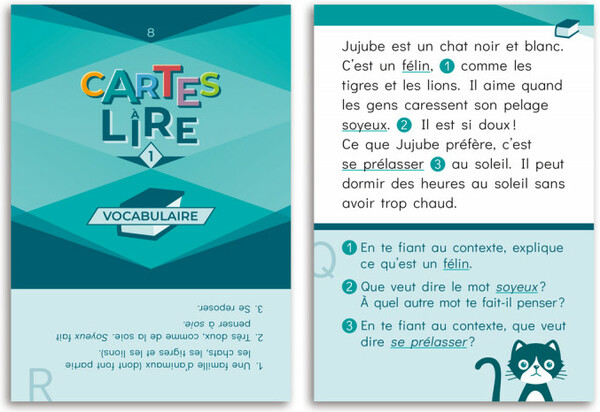 Placote Cartes à lire 3e année - Vocabulaire (fr) 830096008341