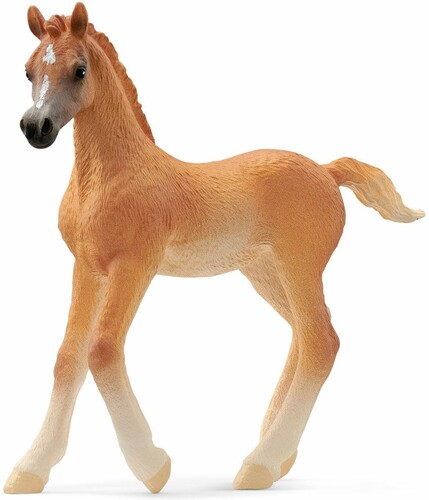 Schleich Schleich 13984 Poulain Arabe 4059433753690