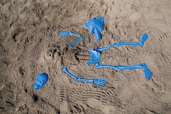 Toysmith Moules de squelette pour le sable 085761219878