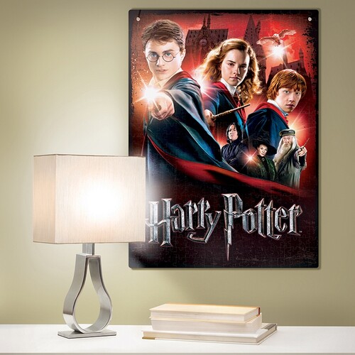 Wrebbit Casse-tête 3D affiche Harry Potter École Poudlard (500pcs) (poster) 665541050015