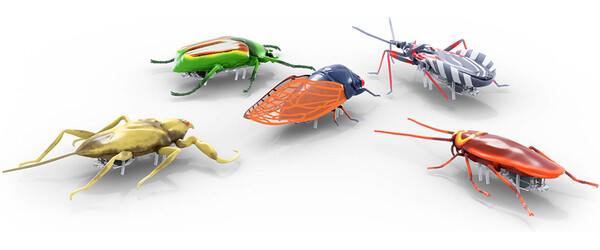 HEXBUG Hexbug Nano - Ensemble de 5 Insectes en folie 778988506301