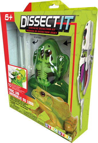 Dissect it grenouille au labo 4897073710631