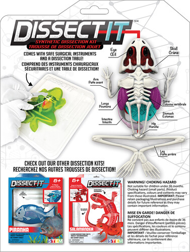Dissect it grenouille au labo 4897073710631