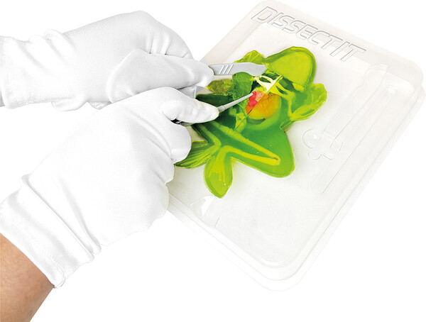 Dissect it grenouille au labo 4897073710631