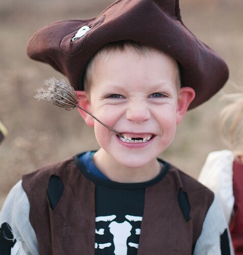 Creative Education Costume pirate brun, grandeur 5-7 (chemise, pantalon, veste et chapeau seulement) 771877668050