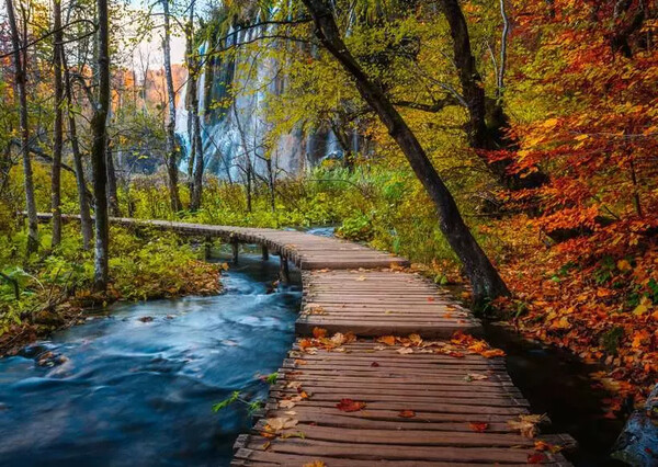 Ravensburger casse-tête Casse-tête 1000 chemin boisé automne 4005555017646