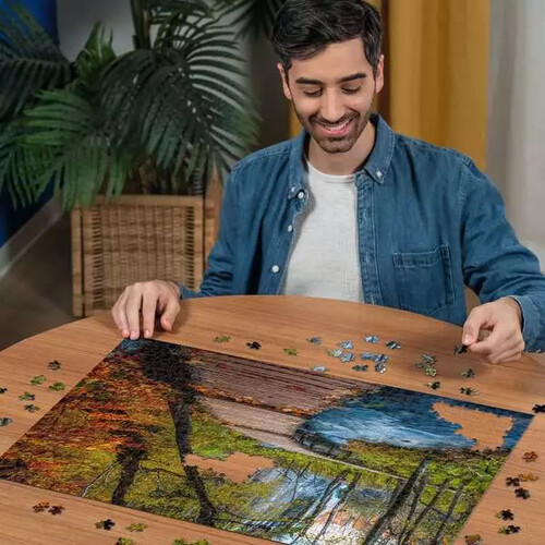 Ravensburger casse-tête Casse-tête 1000 chemin boisé automne 4005555017646