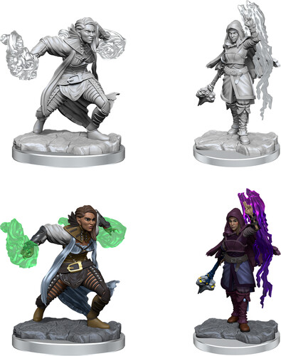 NECA/WizKids LLC Dnd unpainted minis - wave 20 half-elf warlock 634482904107