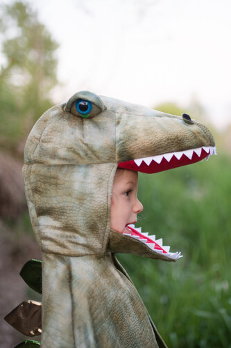 Creative Education Costume Cape Grandasaurus T-Rex avec griffes, grandeur 7-8 771877568879