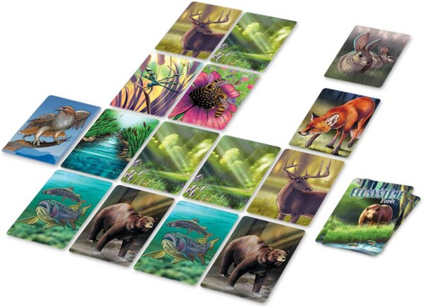 Origames Écosystème (fr) forêt 3760243851605