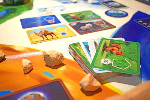 Blue Orange Games Planet (fr/en) 803979077000