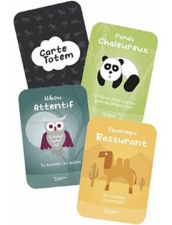 Équipe Totem Totem (fr) le jeu qui fait du bien - edition junior 628719080054