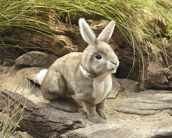Folkmanis Marionnette Lapin américain, peluche 638348028914