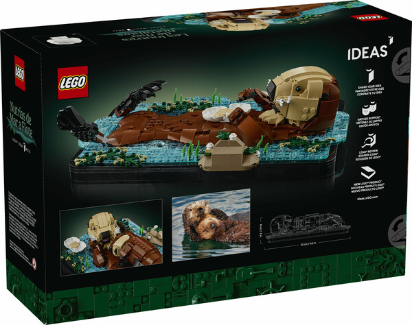 LEGO LEGO 21366 ideas 21366 673419423694